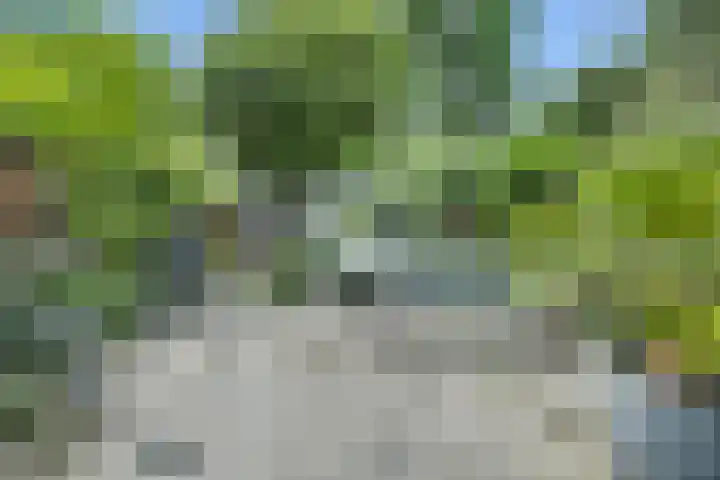 Klip 143 Lelystad thumbnail 32