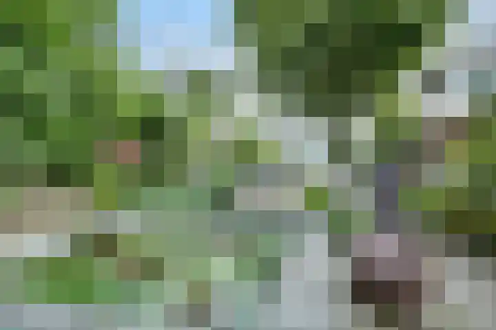 Klip 143 Lelystad thumbnail 33