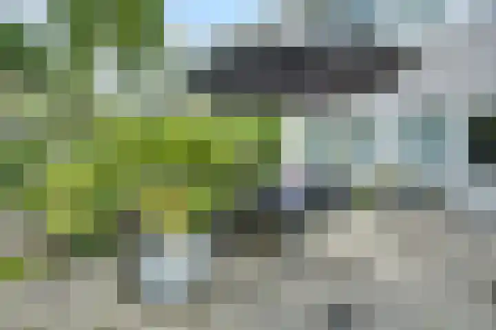 Klip 143 Lelystad thumbnail 34