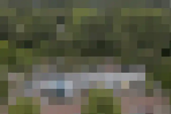 Klip 143 Lelystad thumbnail 37