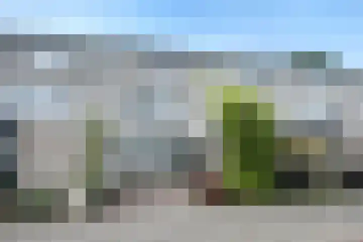 Klip 143 Lelystad thumbnail 39