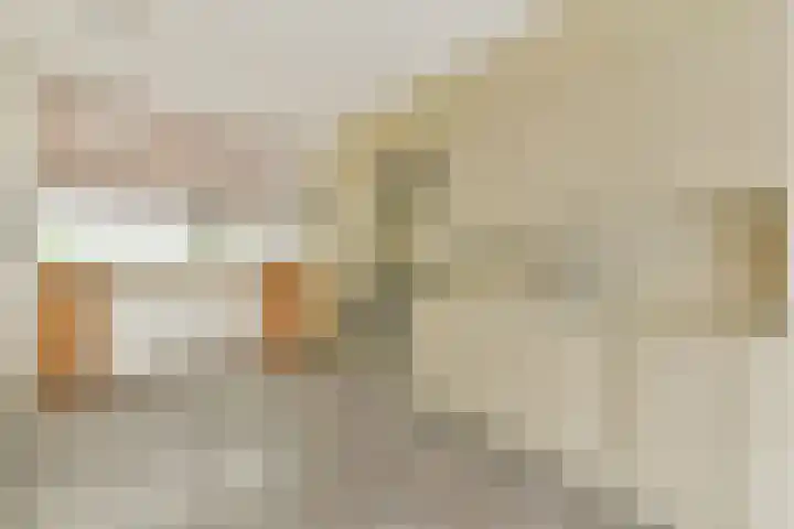 Klip 60 Lelystad thumbnail 8