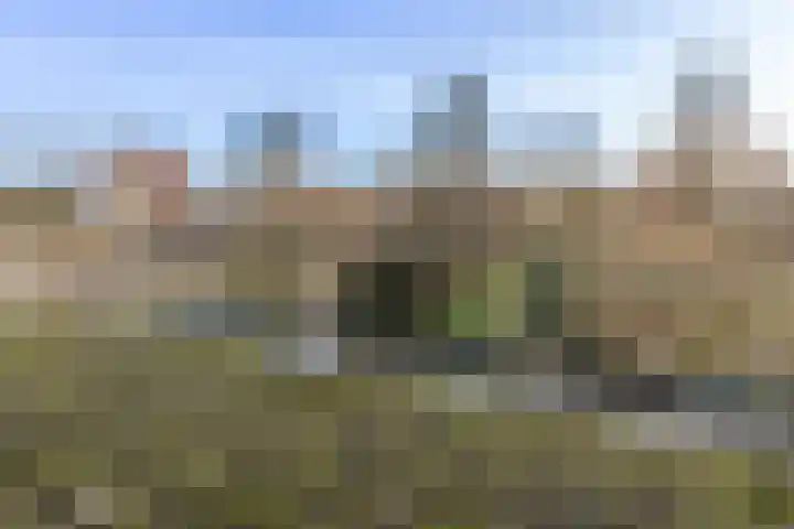 Klip 71 Lelystad thumbnail 33