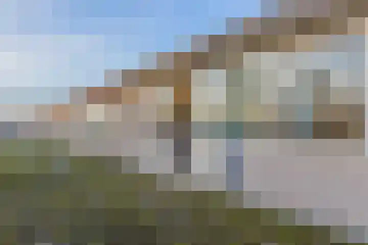 Klip 71 Lelystad thumbnail 35