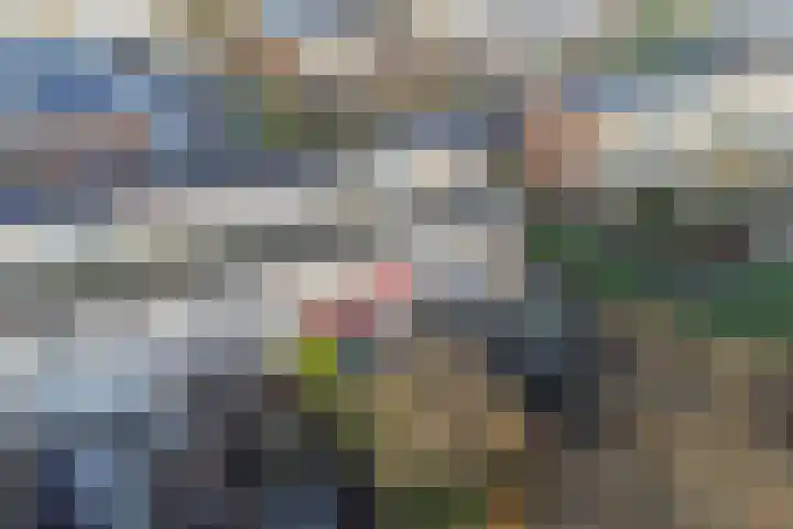 Klip 71 Lelystad thumbnail 38