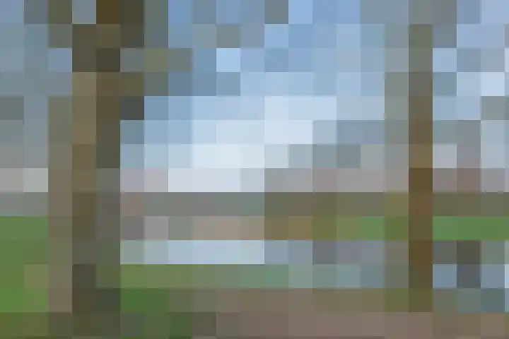 Klip 71 Lelystad thumbnail 42