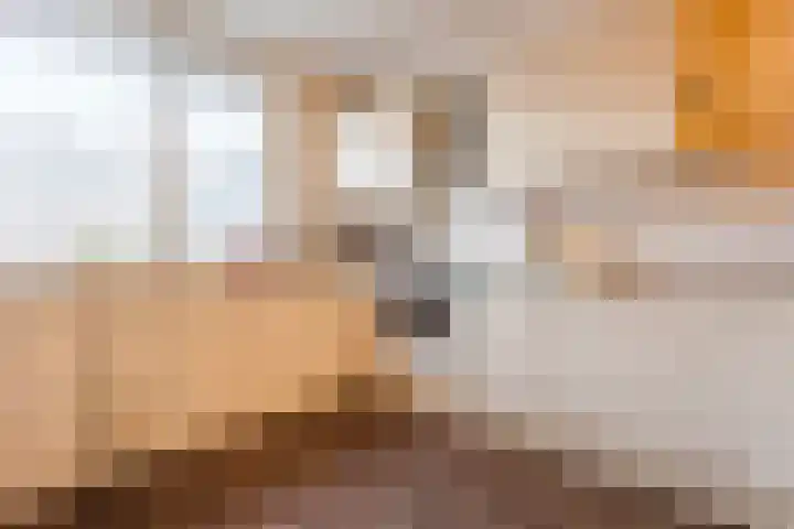 Klip 71 Lelystad thumbnail 5
