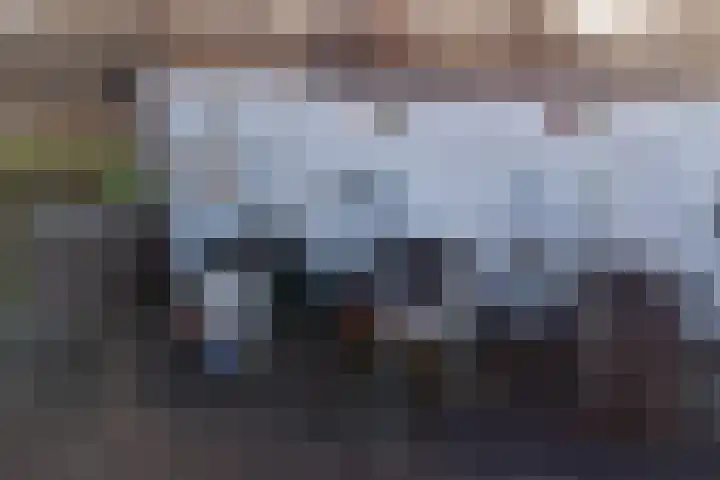 Klip 71 Lelystad thumbnail 8