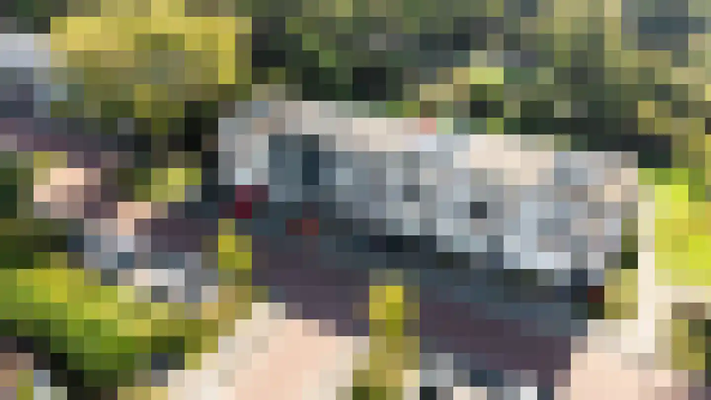 Klip 89 A Lelystad thumbnail 4