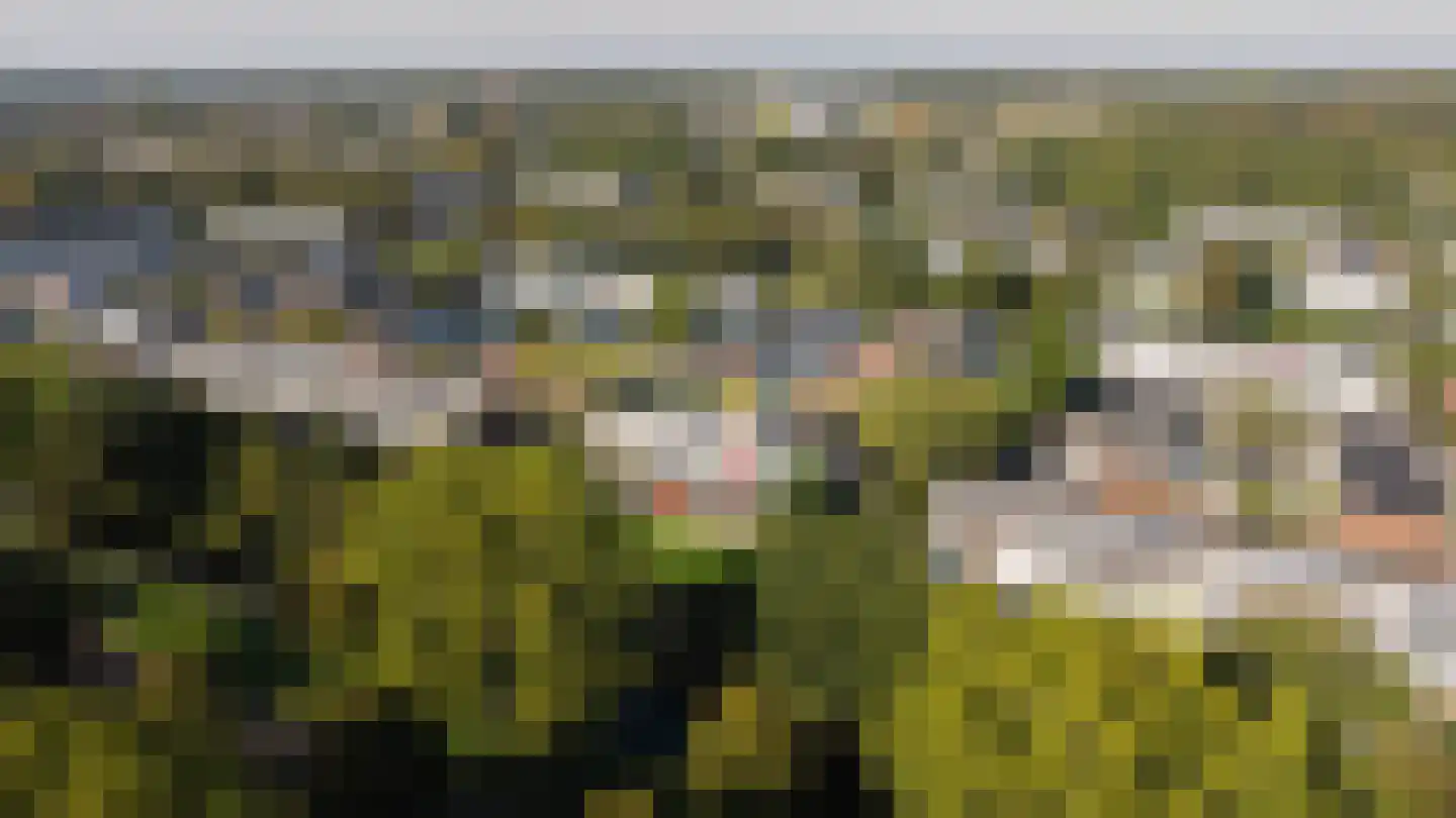 Klip 89 A Lelystad thumbnail 5