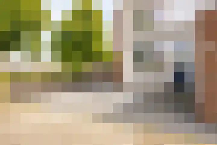 Klip 98 Lelystad thumbnail 11