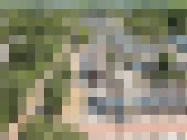 Klip 98 Lelystad thumbnail 43