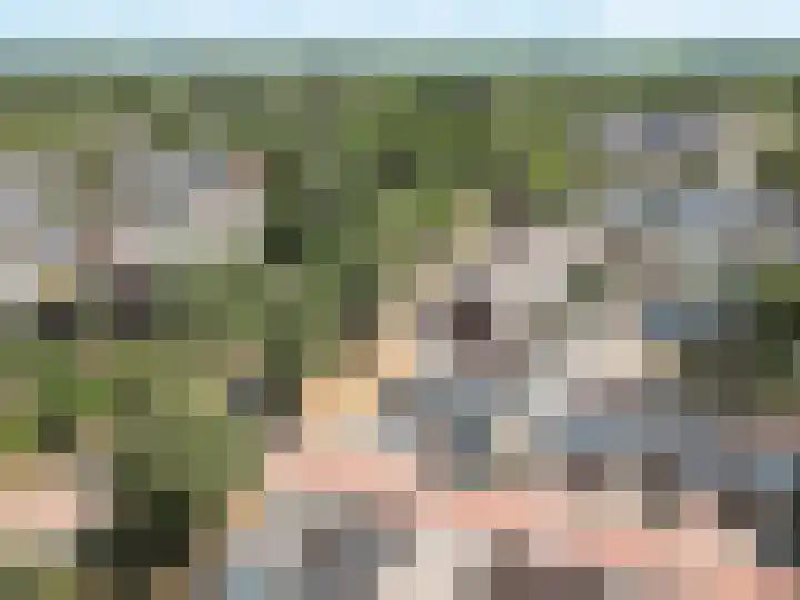 Klip 98 Lelystad thumbnail 5