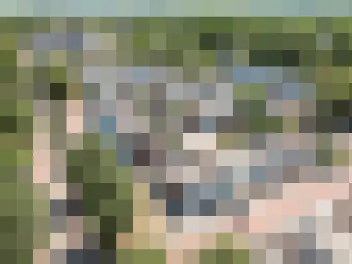 Klip 98 Lelystad thumbnail 6