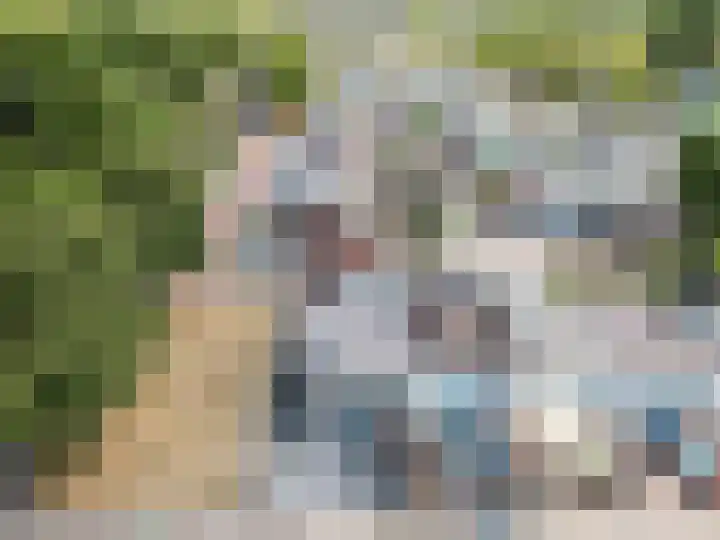 Klip 98 Lelystad thumbnail 7