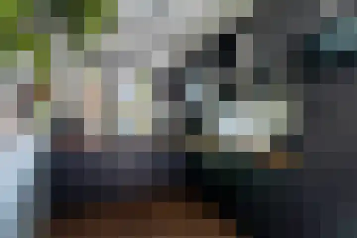 Klipfontein 37 Purmerend thumbnail 19