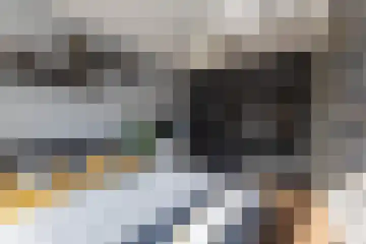 Klipfontein 37 Purmerend thumbnail 24