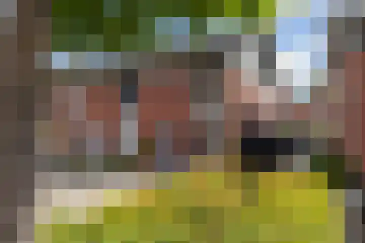 Klipfontein 37 Purmerend thumbnail 6