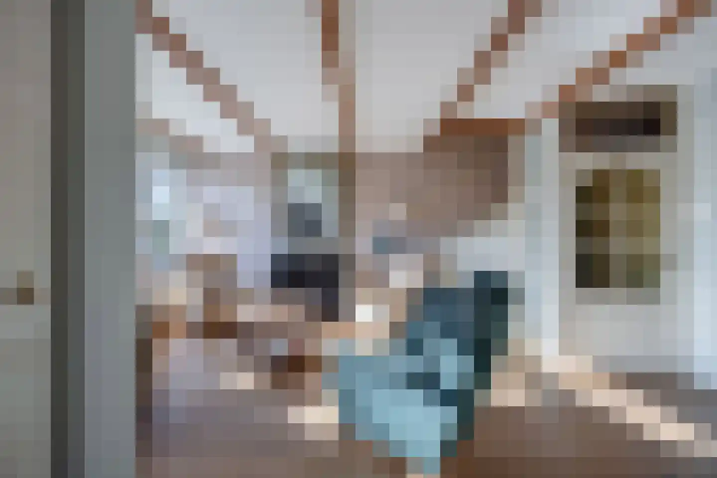 Klipgriend 46 Almere thumbnail 4