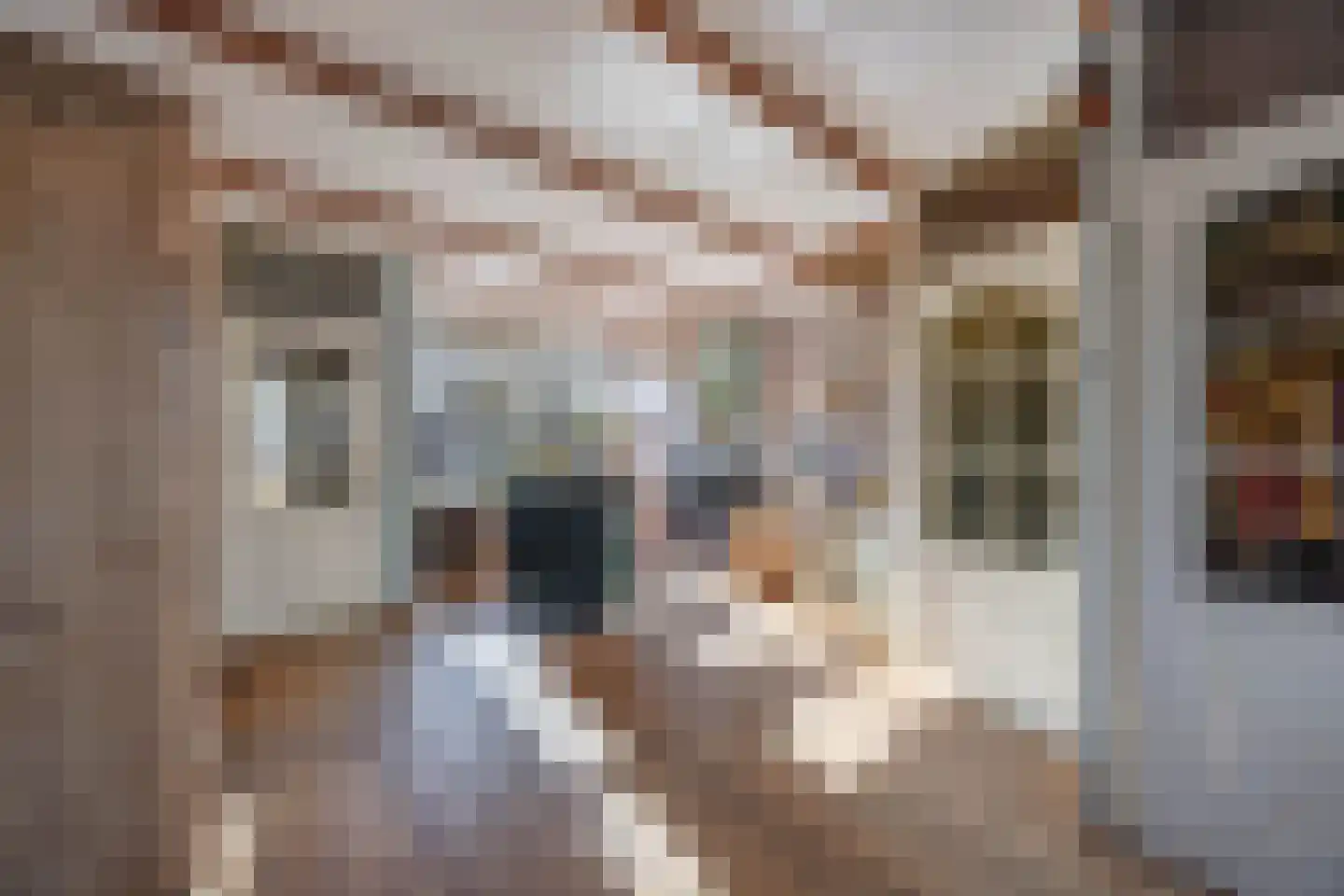 Klipgriend 46 Almere thumbnail 5