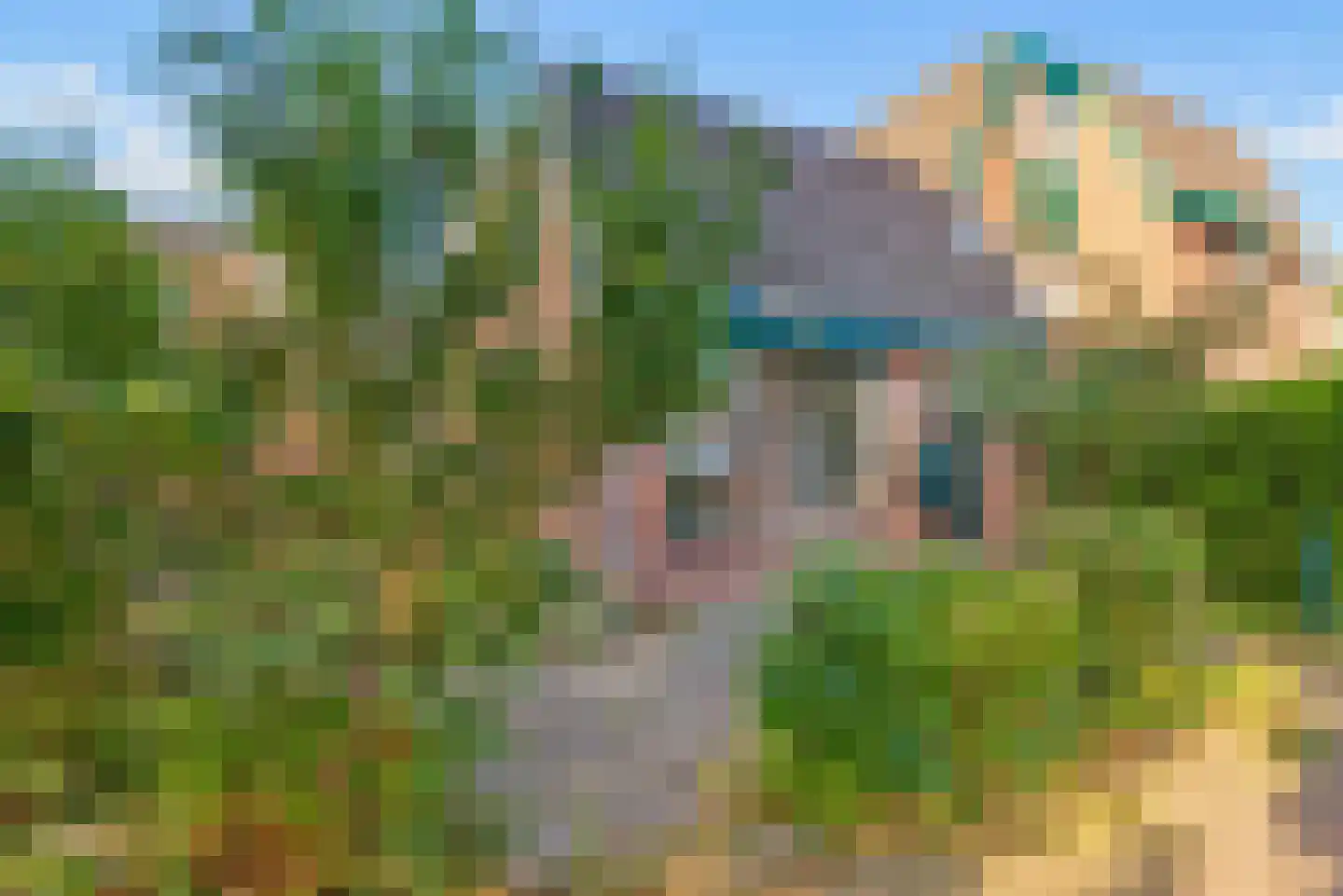 Klipgriend 99 Almere thumbnail 4