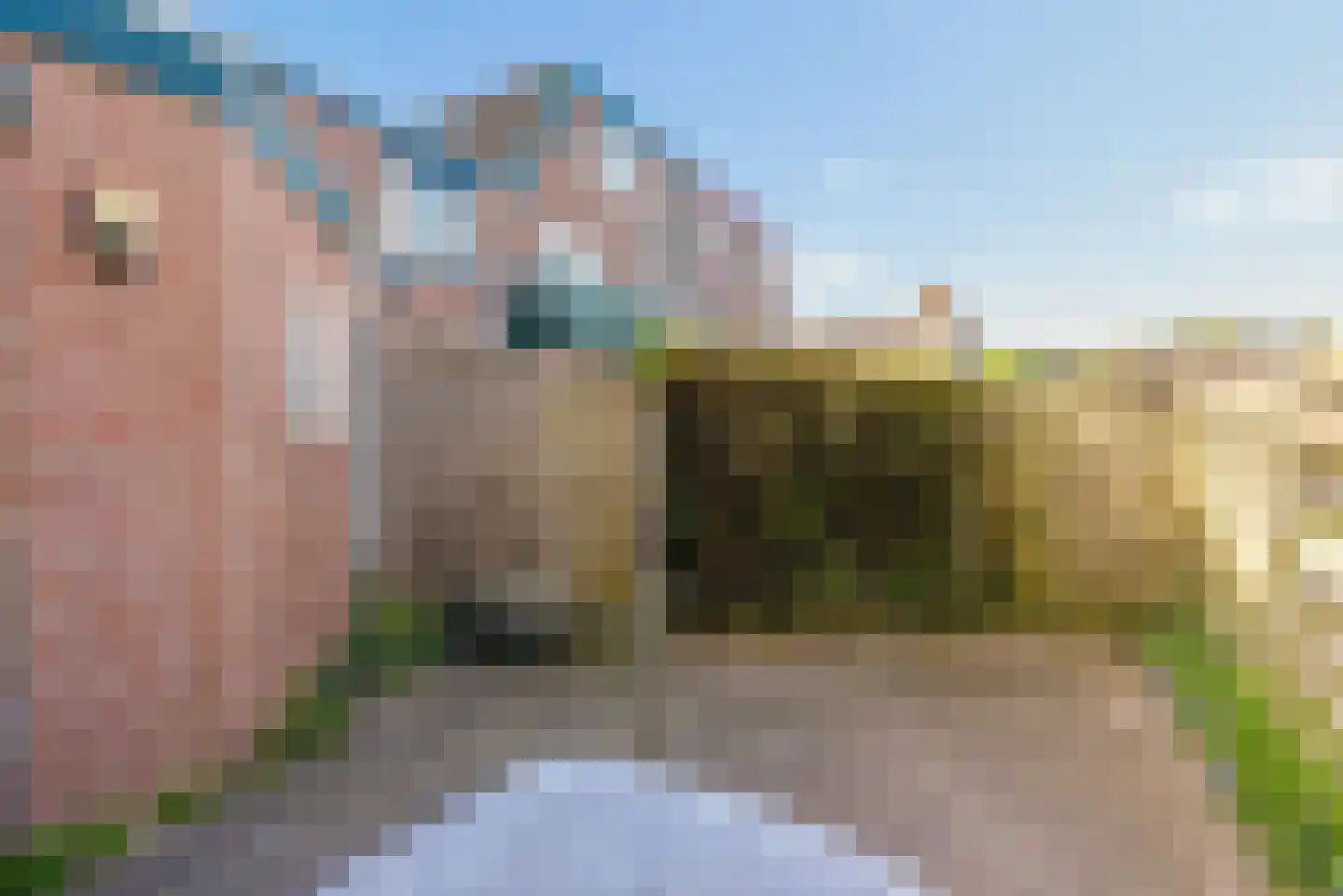 Klipgriend 99 Almere thumbnail 43