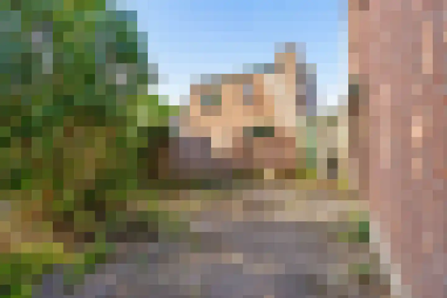 Klipgriend 99 Almere thumbnail 48
