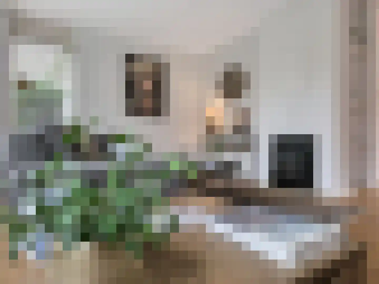 Klippenweg 13 Borne thumbnail 20
