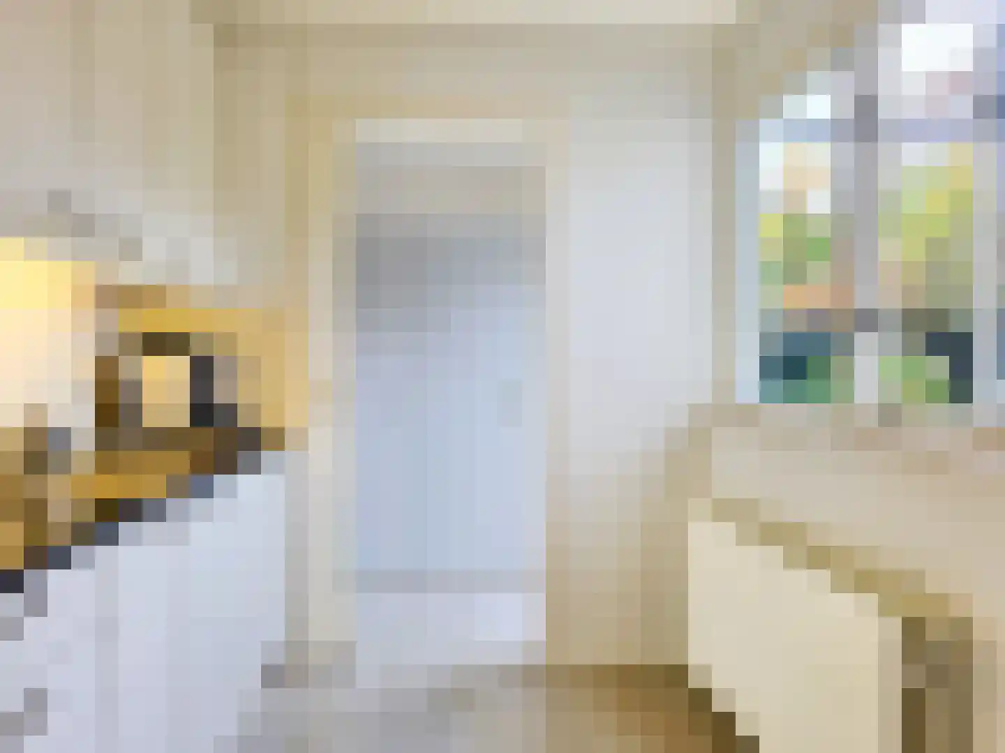 Klippenweg 13 Borne thumbnail 42