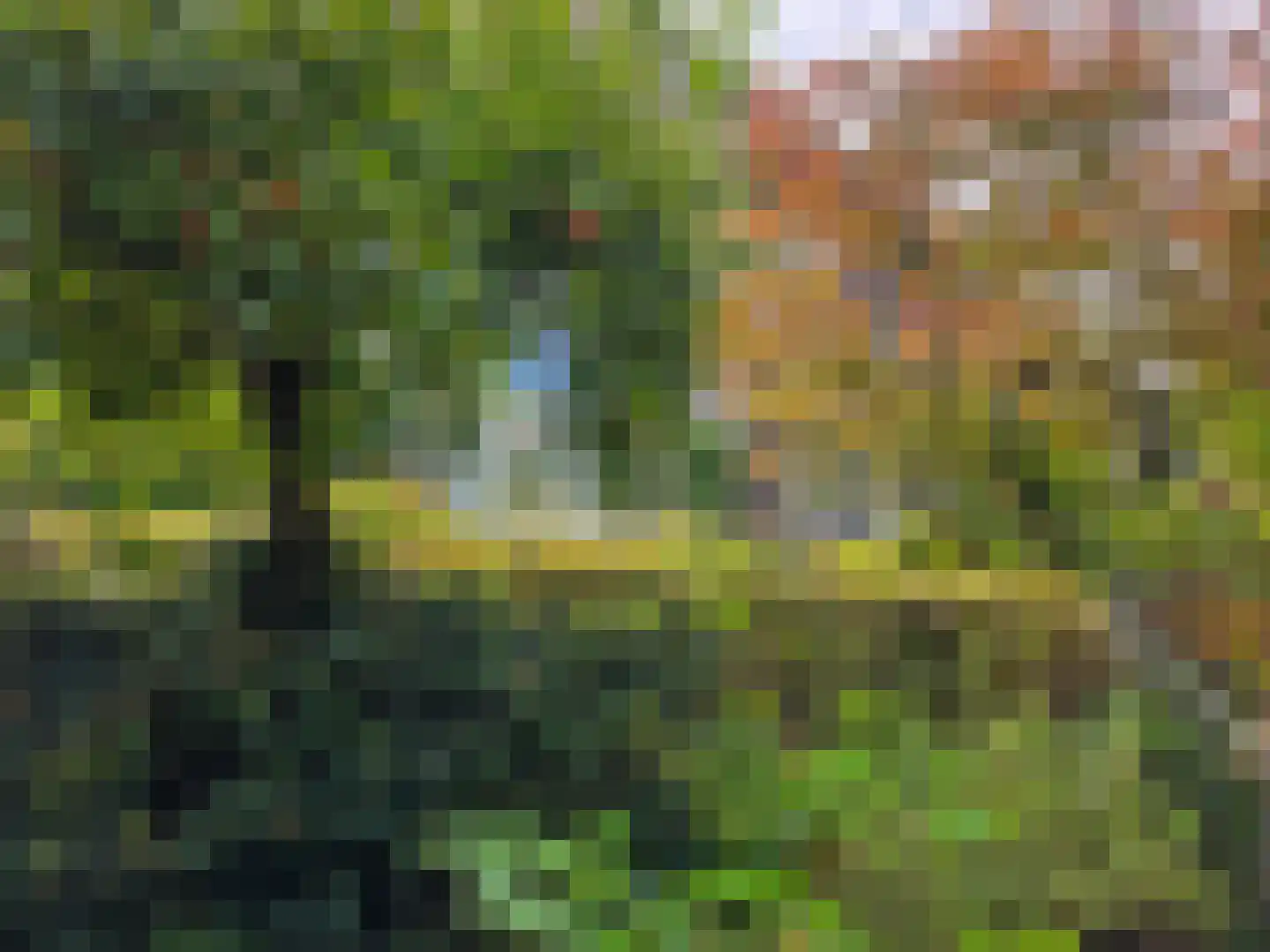 Klippenweg 13 Borne thumbnail 6