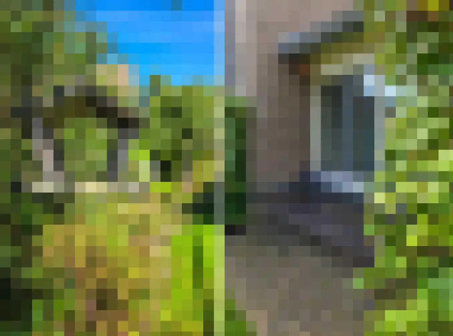 Klippenweg 13 Borne thumbnail 90