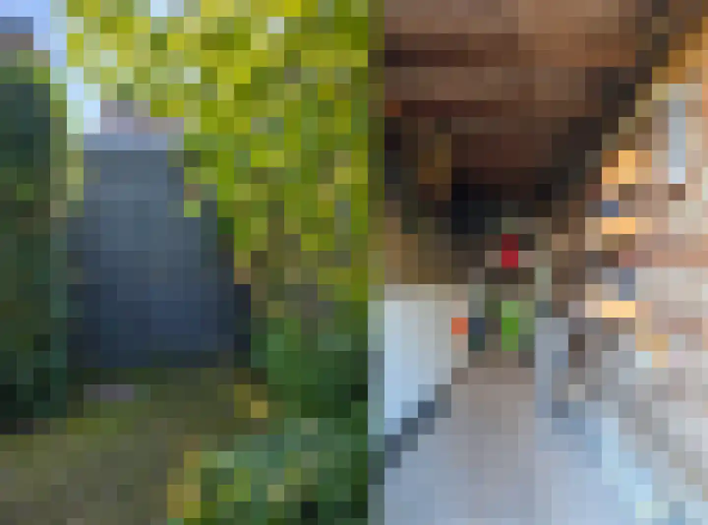 Klippenweg 13 Borne thumbnail 95
