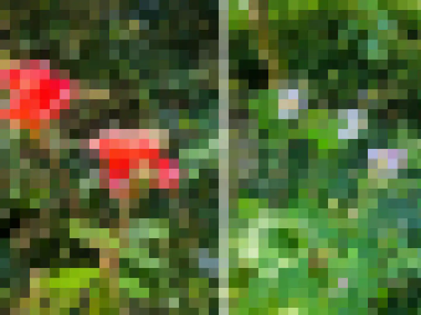Klippenweg 13 Borne thumbnail 97