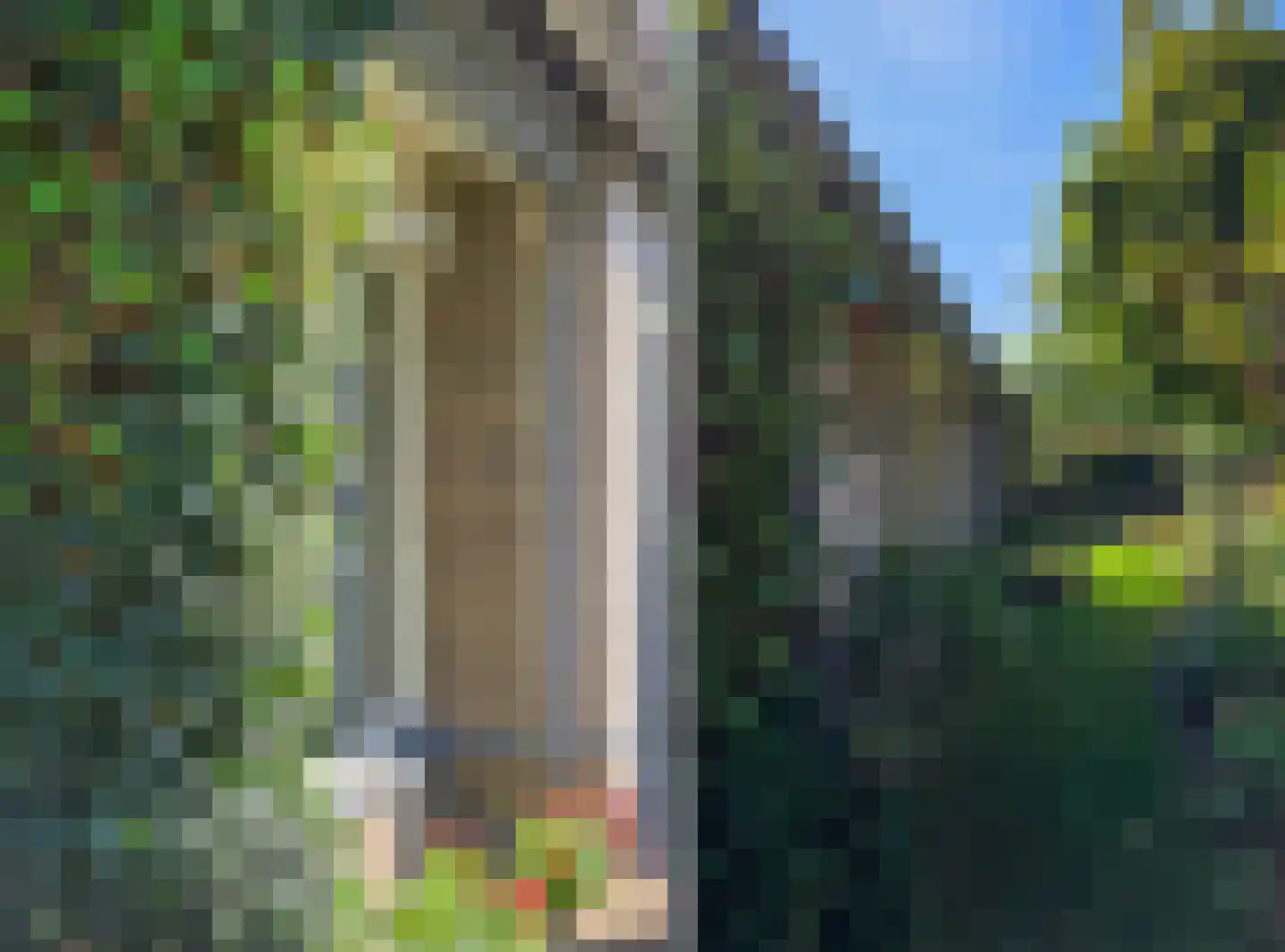 Klippenweg 13 Borne thumbnail 98