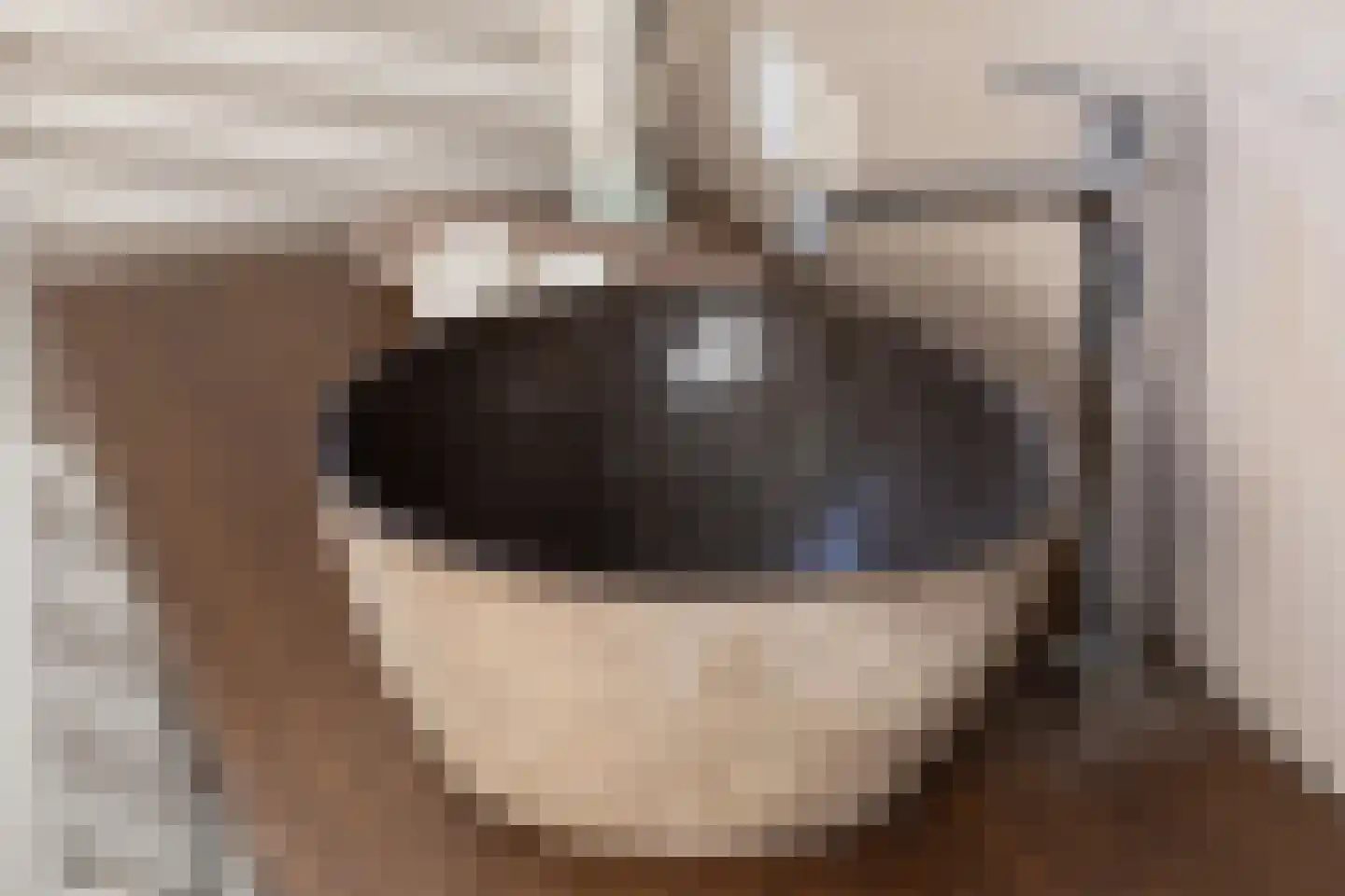 Klipper 1 De Rijp thumbnail 22