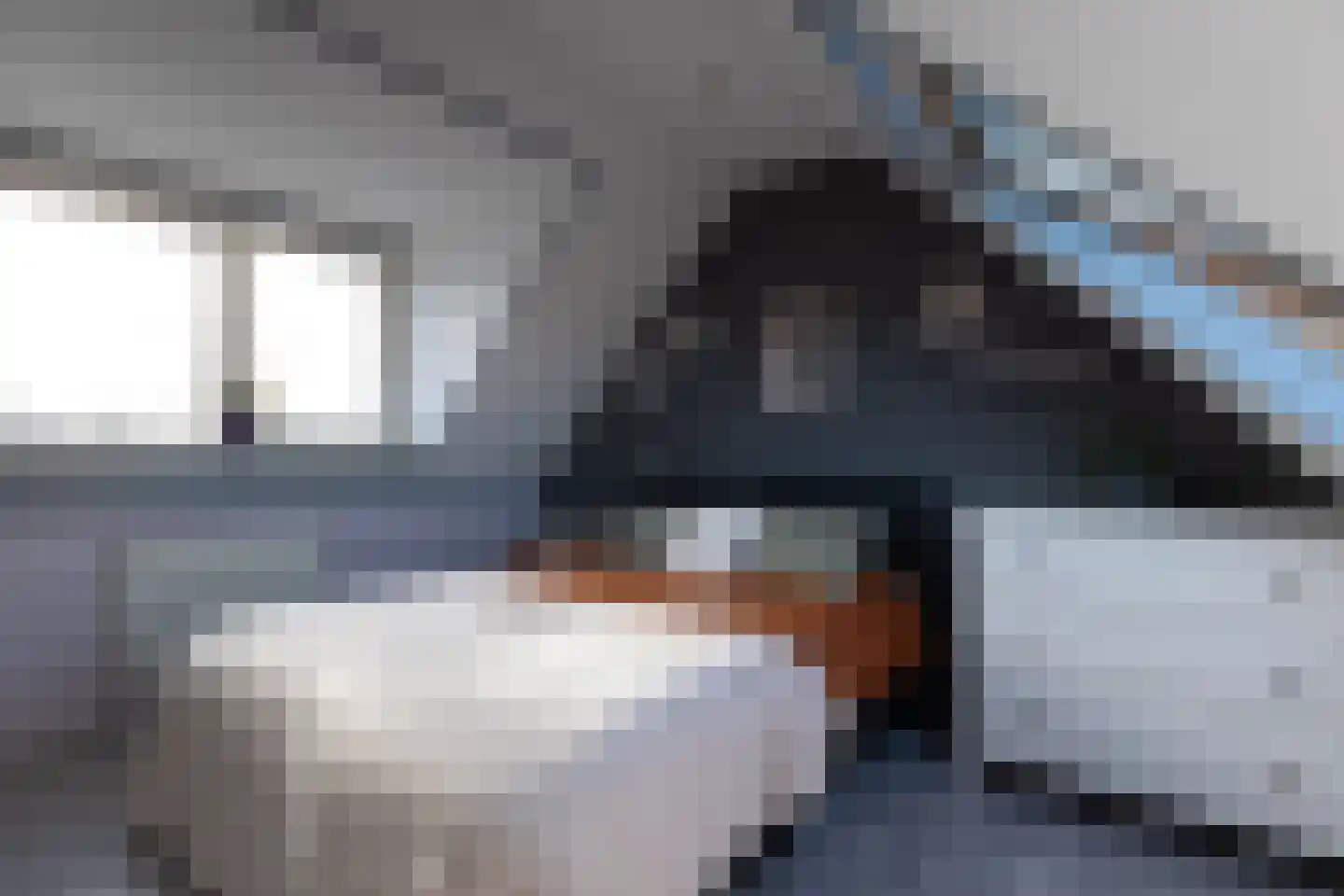 Klipper 1 De Rijp thumbnail 27