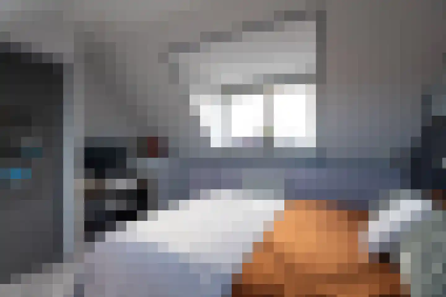 Klipper 1 De Rijp thumbnail 29