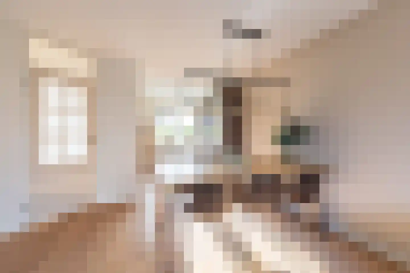 Klipper 1 De Rijp thumbnail 5