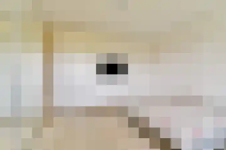 Klipper 1 Schiedam thumbnail 12