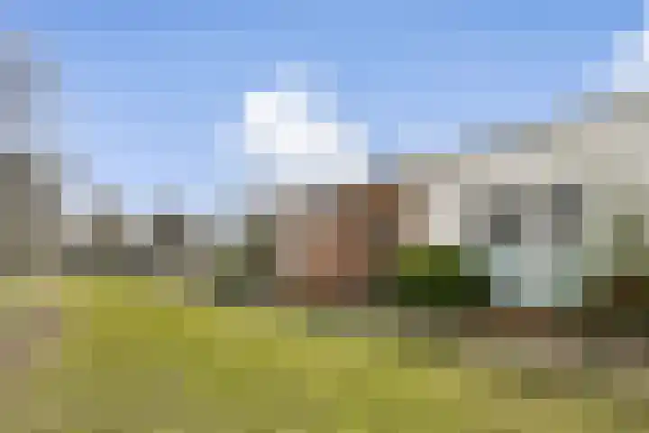 Klipper 1 Schiedam thumbnail 23