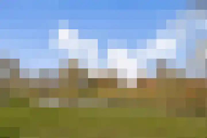 Klipper 1 Schiedam thumbnail 25