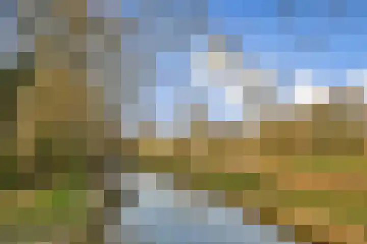 Klipper 1 Schiedam thumbnail 28