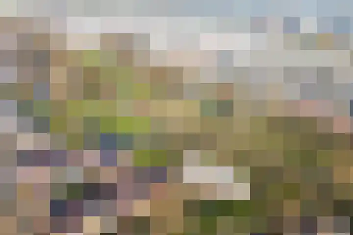 Klipper 1 Schiedam thumbnail 30