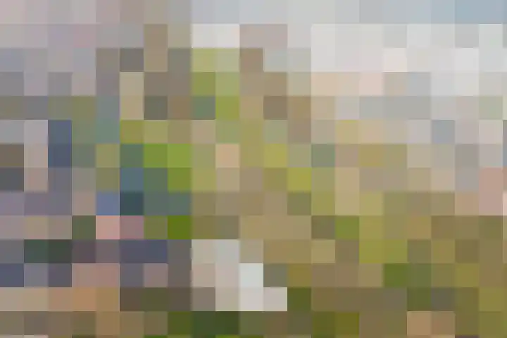 Klipper 1 Schiedam thumbnail 31