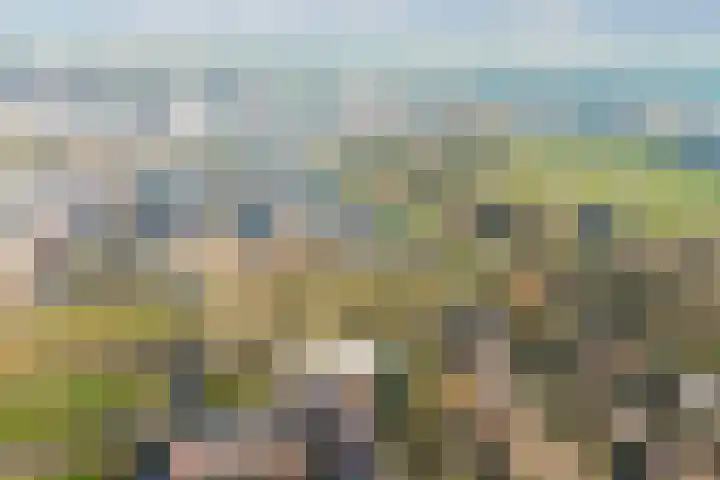 Klipper 1 Schiedam thumbnail 33