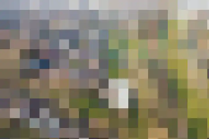 Klipper 1 Schiedam thumbnail 5