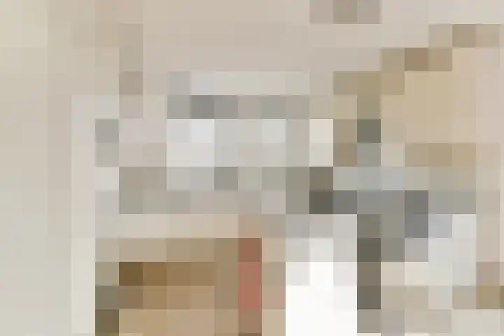 Klipper 1 Schiedam thumbnail 8