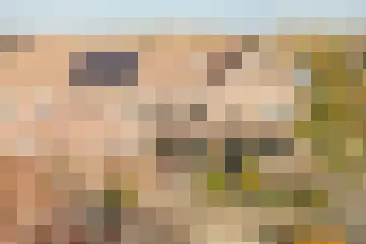 Klipper 107 Broek op Langedijk thumbnail 39