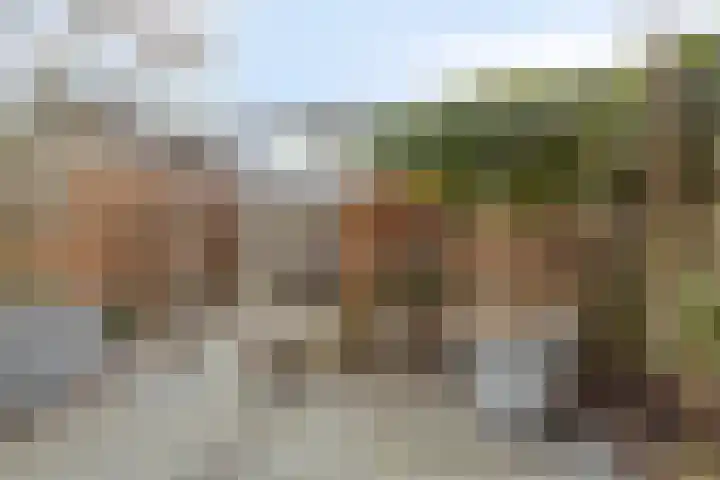 Klipper 148 Oud-Beijerland thumbnail 39
