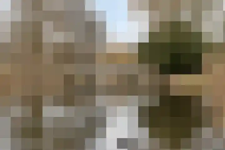 Klipper 148 Oud-Beijerland thumbnail 44